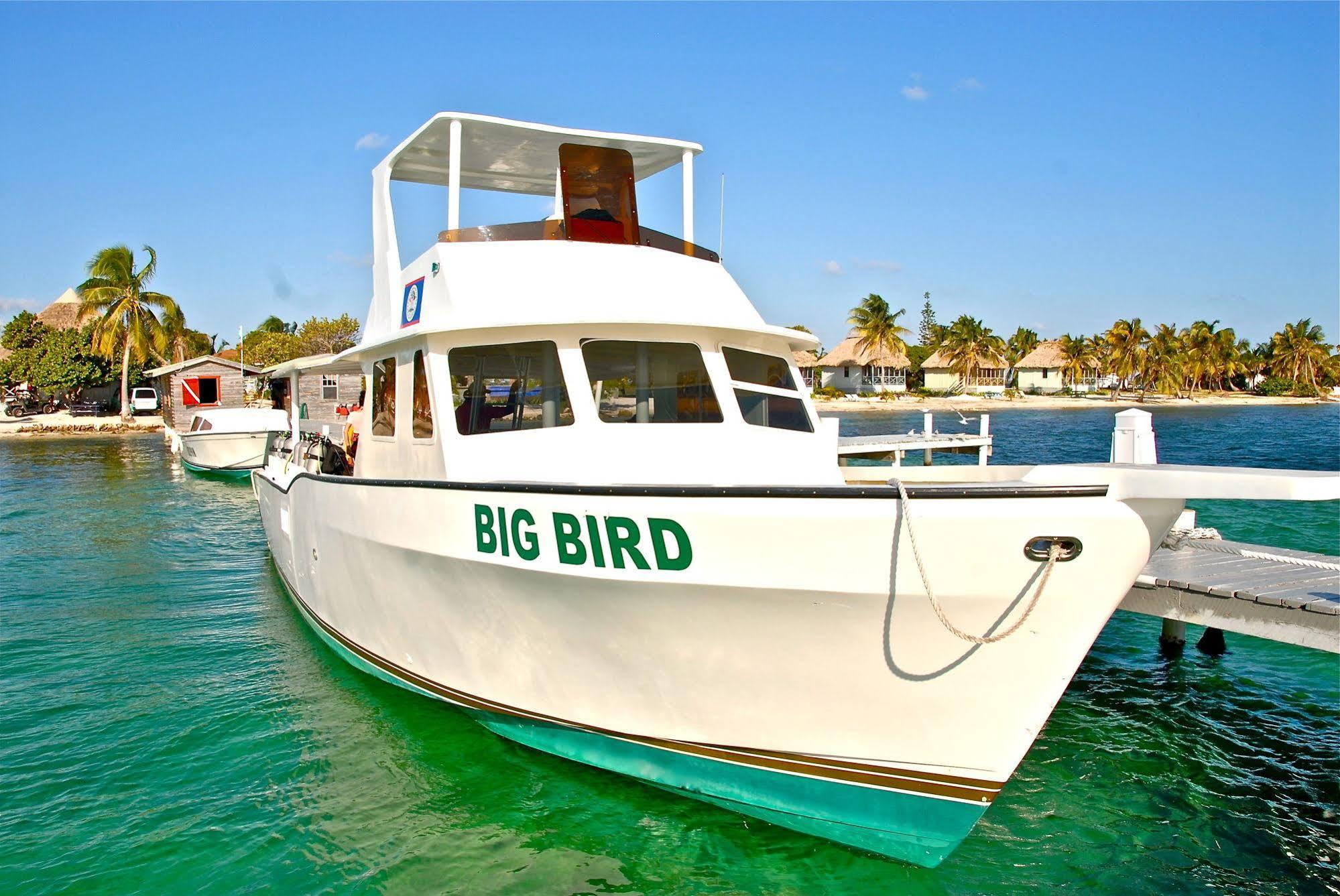 Blackbird Caye Resort Turneffe Atoll 外观 照片
