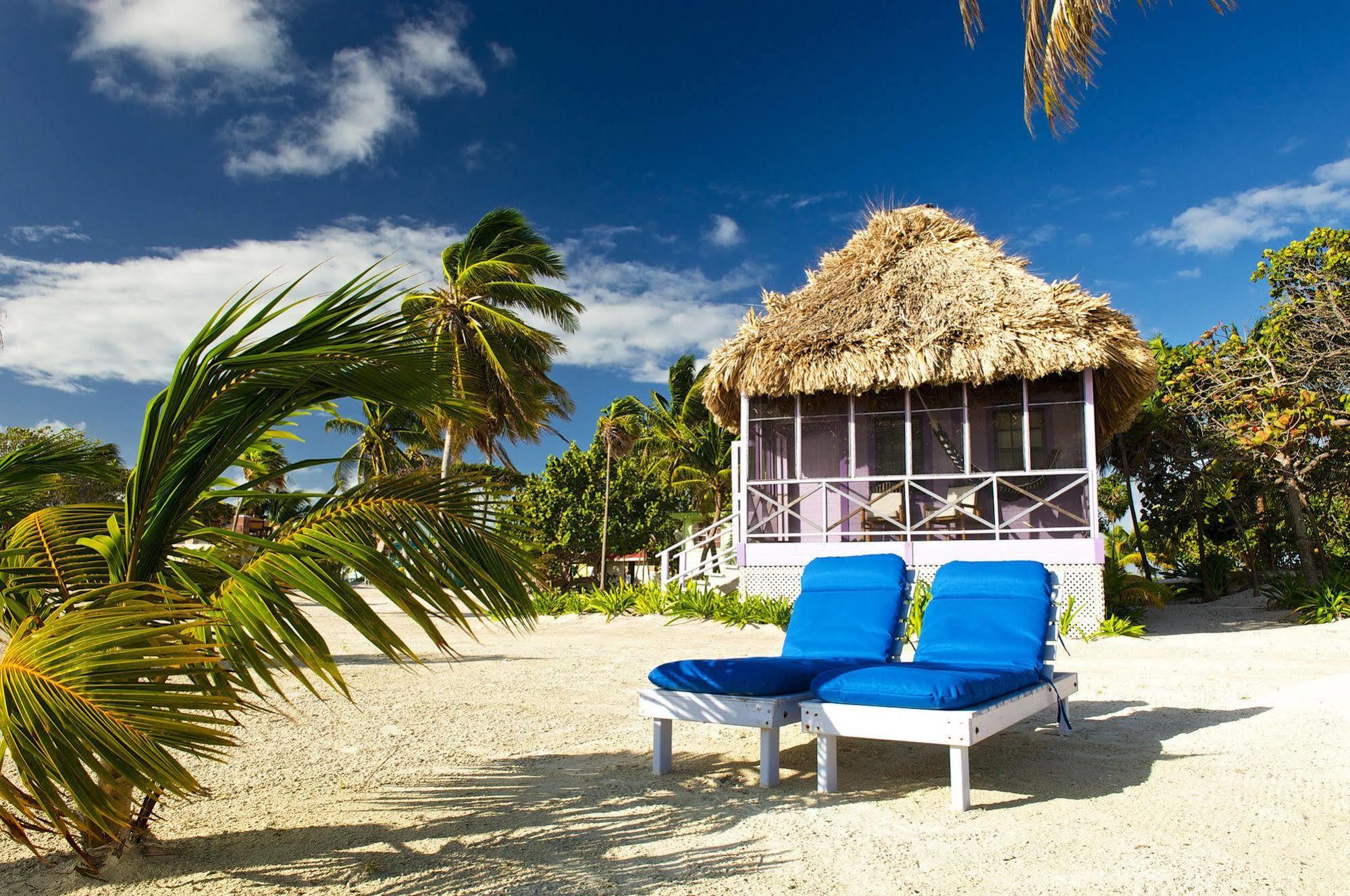 Blackbird Caye Resort Turneffe Atoll 外观 照片